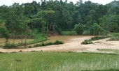 7 người thương vong, mất tích do lũ quét ở Thanh Hóa