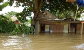 Lũ tràn về trong đêm, dân tháo chạy