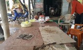 Doanh nghiệp dùng phân bón cây, dân kêu trời vì ô nhiễm