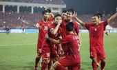 Đội hình tiêu biểu bán kết AFF Cup: Bất công với thầy Park?