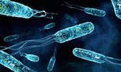Phát hiện vi khuẩn mới có thể làm sạch nước thải