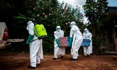 Dịch cúm Ebola bùng phát, WHO họp khẩn cấp