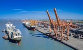'Ông lớn' vận tải biển Vinalines sắp IPO
