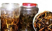 Một người tử vong do rượu ngâm độc chất lá ngón