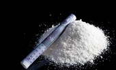 Chất ma tuý tìm thấy trong Lễ hội âm nhạc độc như thế nào?