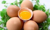 Những thực phẩm cực độc khi bị ho