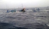 43 ngư dân trên chiếc tàu chìm ngoài biển vào đất liền an toàn