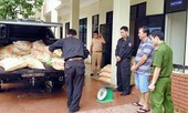 Quảng Nam: Bắt xe tải nghi vận chuyển hơn 600kg cyanua