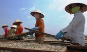 Phát hiện sản phẩm khô biển có chất gây hại sức khoẻ