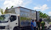 Phát hiện, xử lý 1.869 vụ buôn lậu, gian lận, hàng gỉa