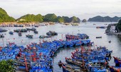 Hàng loạt dự án ở Hải Phòng đội vốn khủng, chậm tiến độ