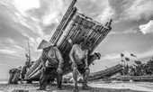 'Biển trong chúng ta', vạm vỡ và quặn thắt