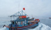 Đề nghị cho 3 tàu cá vào đảo Hải Nam trú tránh nguy hiểm