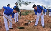 Ứng phó với biến đổi khí hậu: Hiểu đúng để hành động đúng