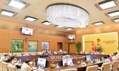 Không để có tiền thì xây dựng kỳ quái tùy thích
