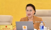 Chủ tịch Quốc hội: Giao đất không qua đấu thầu gây thất thoát lớn