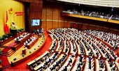 Luật Đặc khu sẽ trình Quốc hội vào thời điểm thích hợp