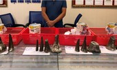 Người đàn ông vận chuyển 12 khúc sừng tê giác vào Việt Nam