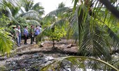 Bắt được nghi can giết 3 người trong gia đình vợ tại Tiền Giang