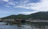 Phát hiện thi thể một phụ nữ bị trói chặt chân tay ở Đà Nẵng