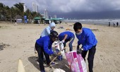 Tuổi trẻ Đà Nẵng làm sạch bãi biển sau mưa ngập lịch sử