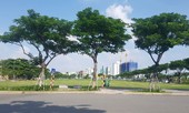 Đà Nẵng 'quyết' hủy kết quả đấu giá khu đất vàng của VIPICO