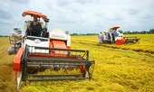 Xuất khẩu nông lâm thủy sản năm 2018 sẽ đạt 40 tỷ USD