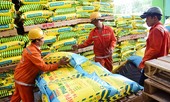 Lợi nhuận sau thuế tăng gần 70%, Đạm Phú Mỹ điều chỉnh kế hoạch 2018