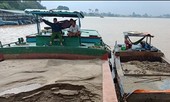 Bắt giữ hai ghe 'cát tặc' trên sông Đồng Nai