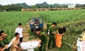 Công an vào tận ruộng mua dứa hỗ trợ nông dân
