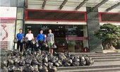 Nhân viên ngân hàng Nông nghiệp mua dứa ủng hộ nông dân
