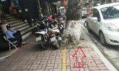 Người đi bộ 'húc' vào cây, cấp phép giữ xe trên cả lối đi của người mù