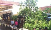 Bé trai 13 tuổi bị sát hại khi đang cố chạy trốn