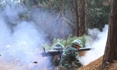 Tập trung huấn luyện đêm, huấn luyện dã ngoại