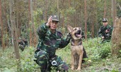 Tổng kết 20 năm thi hành Pháp lệnh Bộ đội Biên phòng