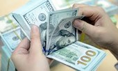 USD bất ngờ bật tăng trở lại sau động thái của Mỹ