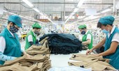 Cả nước có hơn nửa triệu doanh nghiệp làm ăn có lãi