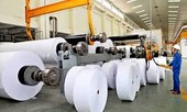 70% giấy tại Việt Nam sản xuất từ phế liệu