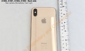 Lộ diện iPhone X màu vàng không được phát hành