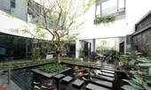 Ngôi nhà Hà Nội như công viên thu nhỏ mát rượi