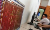 TS Nguyễn Đình Cung: Chứng khoán Việt Nam 'đỏ sàn' là... tốt