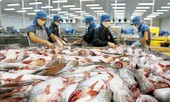 Chiến tranh thương mại Mỹ-Trung Quốc: Lo xuất khẩu gặp khó