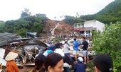 Nha Trang tan hoang, bi thương