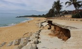 Bản tin 8H: Kè biển 80 tỷ hỏng sau vài tháng sử dụng