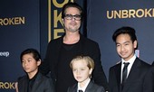 Hé lộ một phần thoả thuận nuôi con giữa Brad Pitt và Angelina Jolie