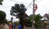 Lắp đặt miễn phí hơn 1 km công trình 'thắp sáng đường quê'