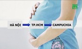 Hãi hùng dịch vụ mang thai hộ, bán thận tràn lan mạng xã hội
