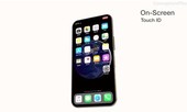 Concept iPhone 11 với 3 camera, vân tay dưới màn hình