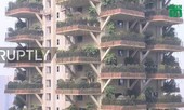 Kỳ lạ khu rừng thẳng đứng bao trùm cao ốc ở Trung Quốc