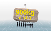 Ba giai đoạn của chuyên án gần 900 kg ma túy